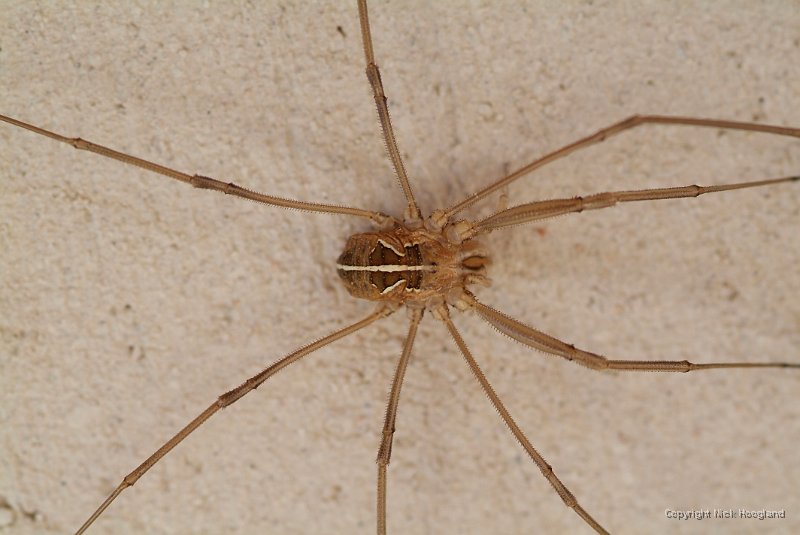 DSCF4133.JPG