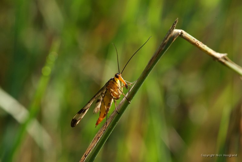 DSCF4178.JPG