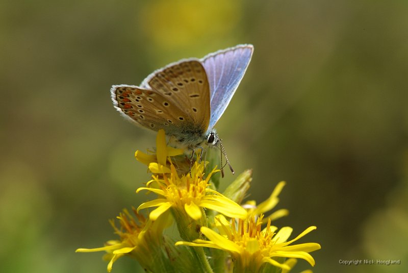 DSCF4246.JPG