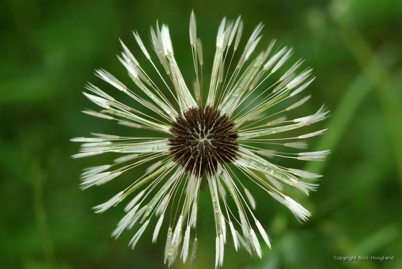 DSCF1652.JPG