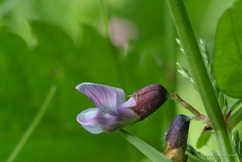 DSCF1679.JPG