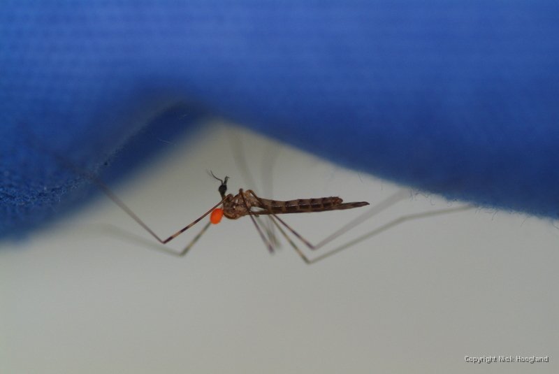 DSCF1685.JPG