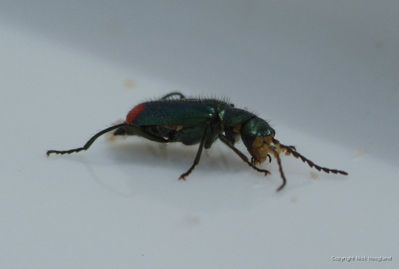 DSCF1694.JPG