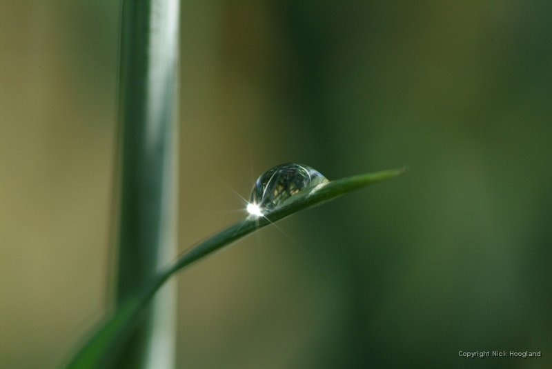 DSCF1730.JPG