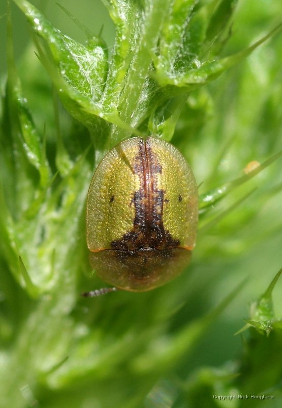DSCF1733.JPG