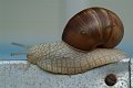 DSCF1707