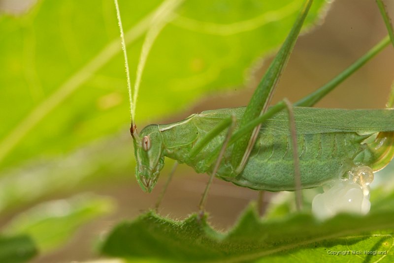 DSCF8903.JPG
