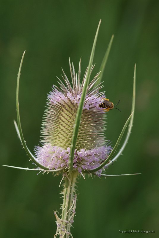 DSCF8908.JPG