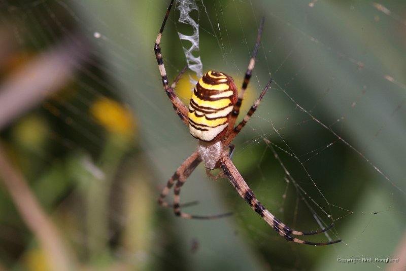 DSCF8932.JPG