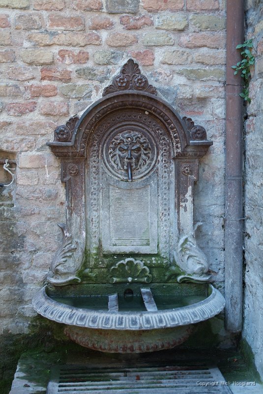 DSCF9112.JPG
