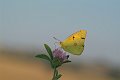 DSCF8873