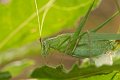 DSCF8903