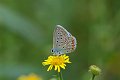 DSCF8916