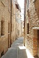 DSCF9108
