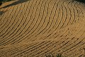 DSCF9202