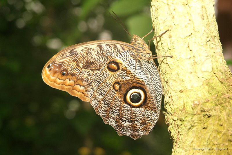 DSCF7743.JPG