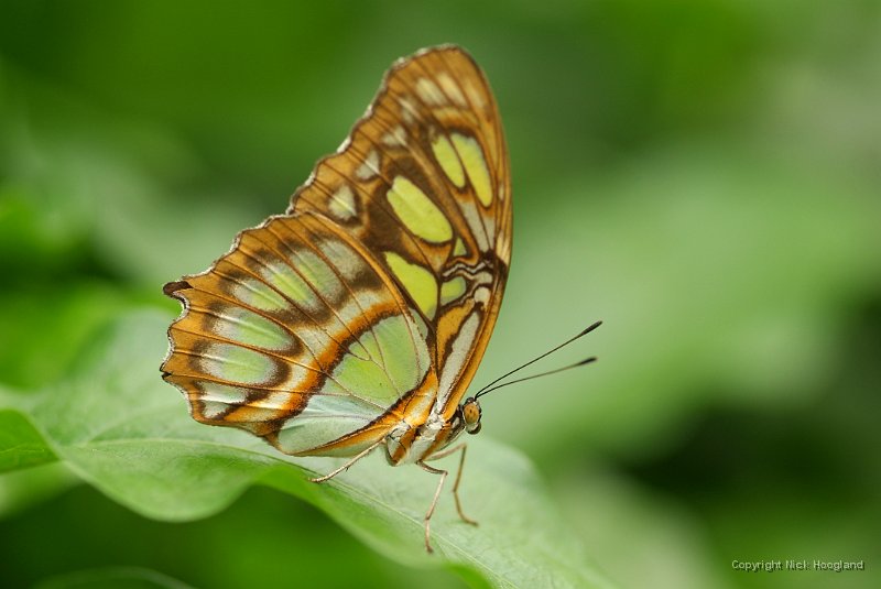 DSCF7786.JPG