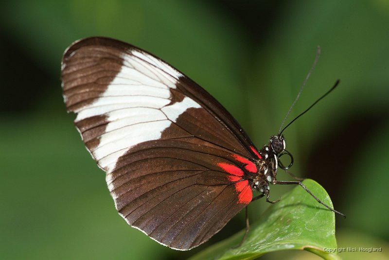 DSCF7803.JPG