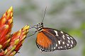 DSCF7774