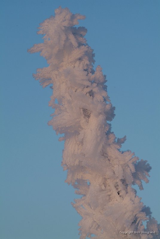 DSCF5763.JPG