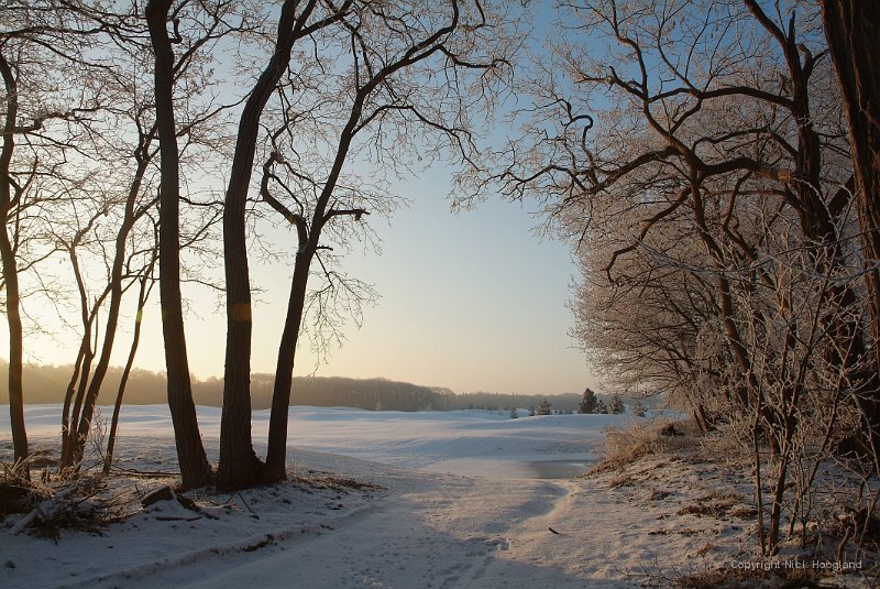DSCF5774.JPG