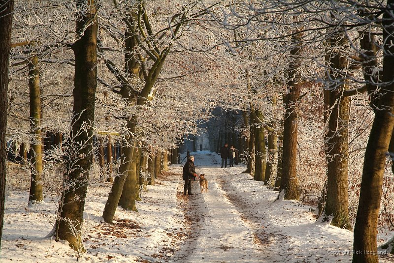 DSCF5785.JPG