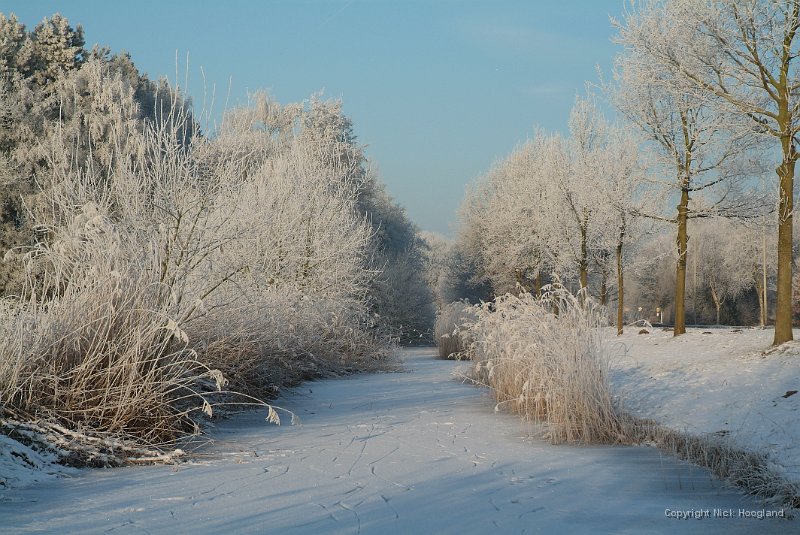DSCF5798.JPG
