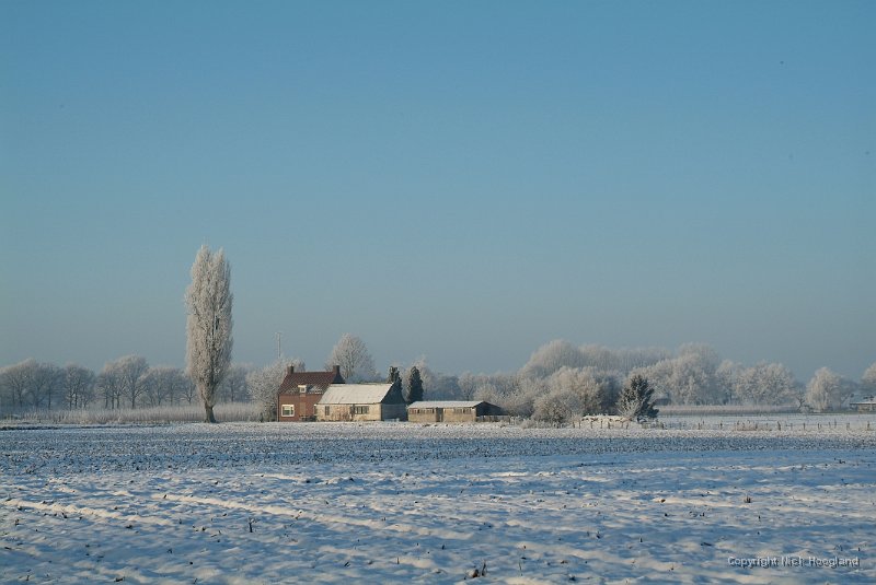 DSCF5804.JPG