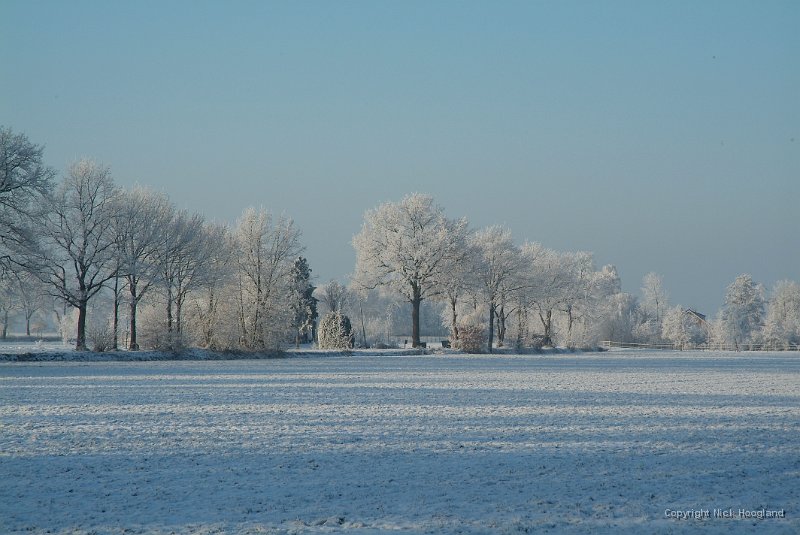 DSCF5808.JPG