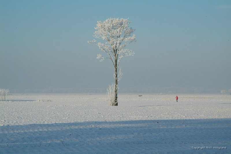 DSCF5815.JPG