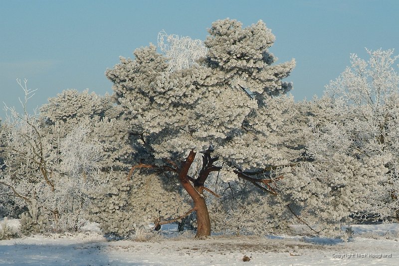 DSCF5824.JPG