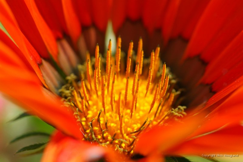 DSCF7358.JPG