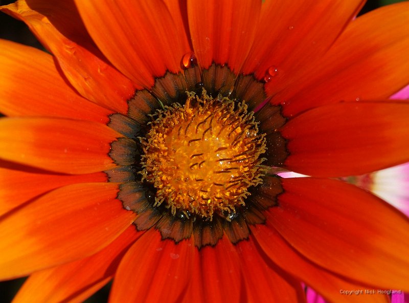 DSCF7407.JPG