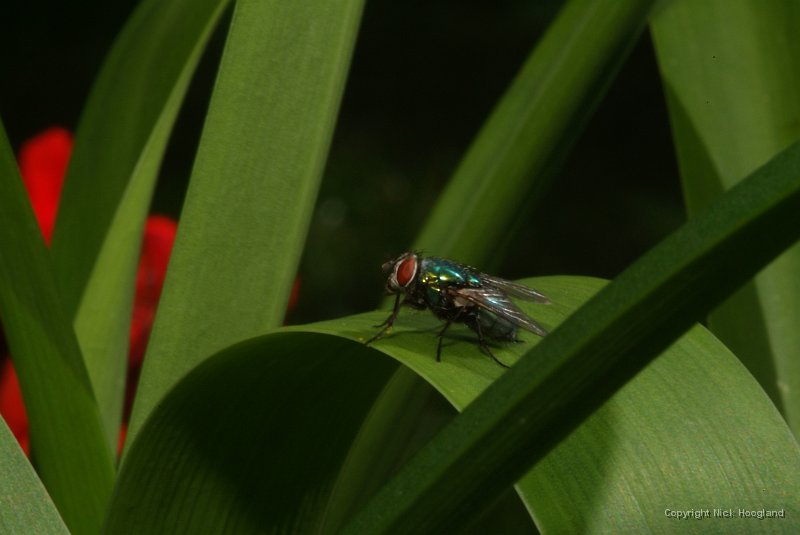 DSCF8565.JPG