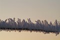 DSCF5759