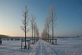 DSCF5772