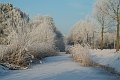 DSCF5798