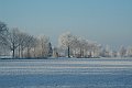 DSCF5808
