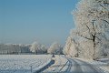 DSCF5811