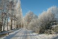 DSCF5818