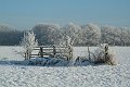 DSCF5830