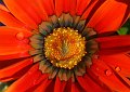 DSCF7414