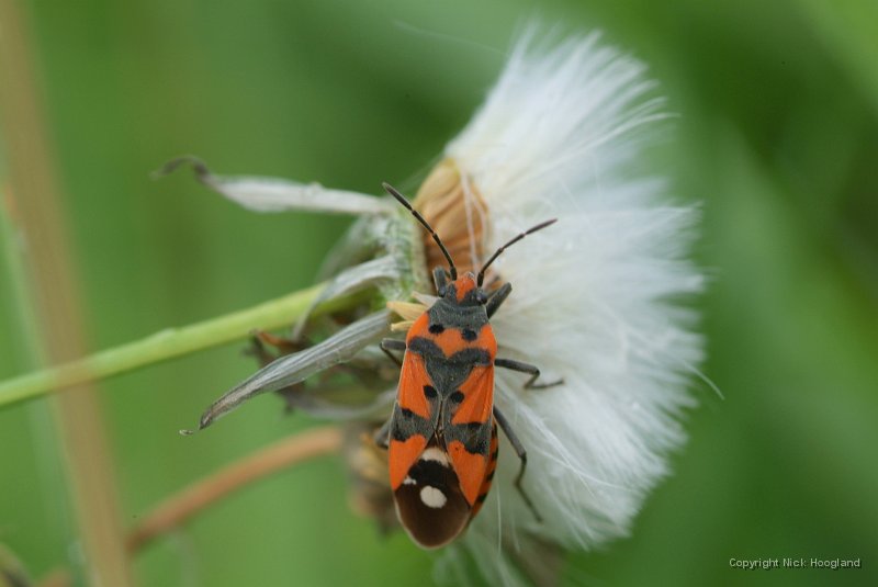 DSCF1361.JPG