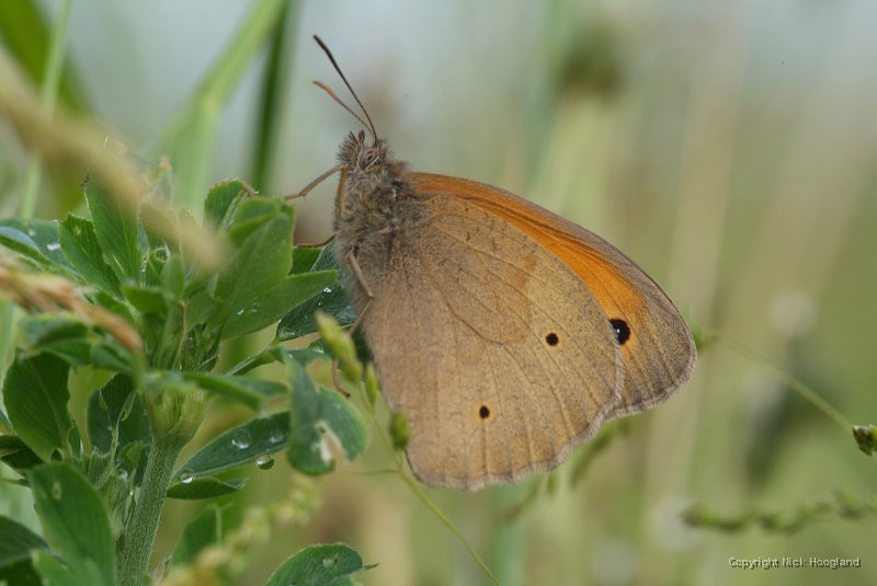DSCF1383.JPG