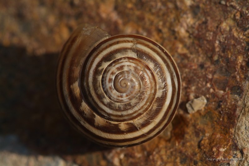 DSCF1406.JPG