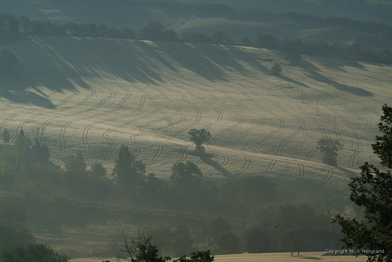 DSCF1456.JPG