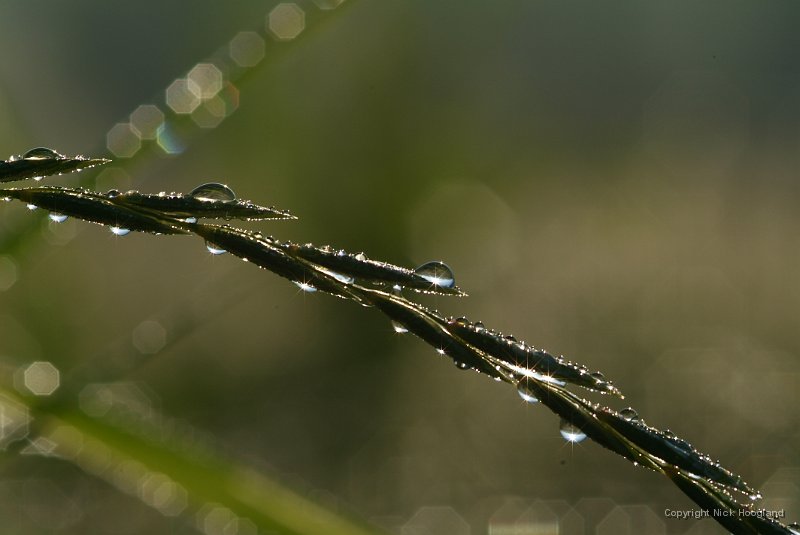 DSCF1458.JPG