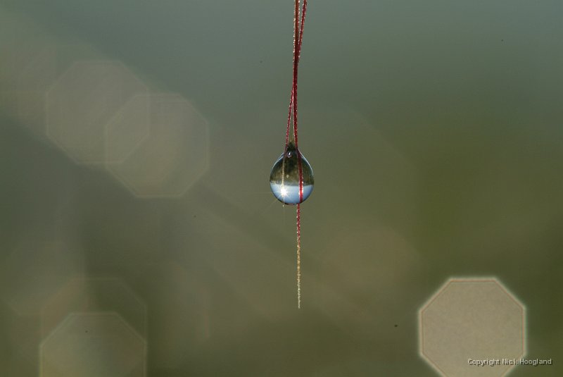 DSCF1469.JPG