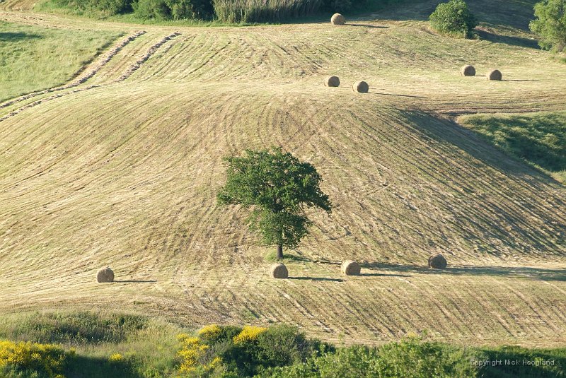 DSCF1803.JPG