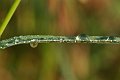 DSCF1448